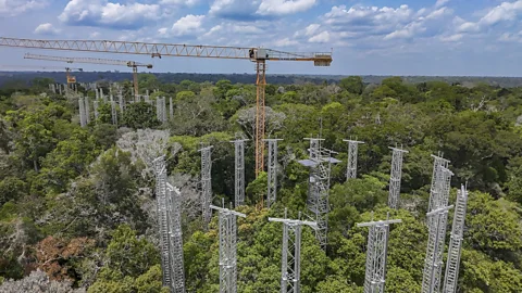 Audiovisual G20 One of the world's largest open-air labs is deep in the Amazon rainforest (Credit: Audiovisual G20)